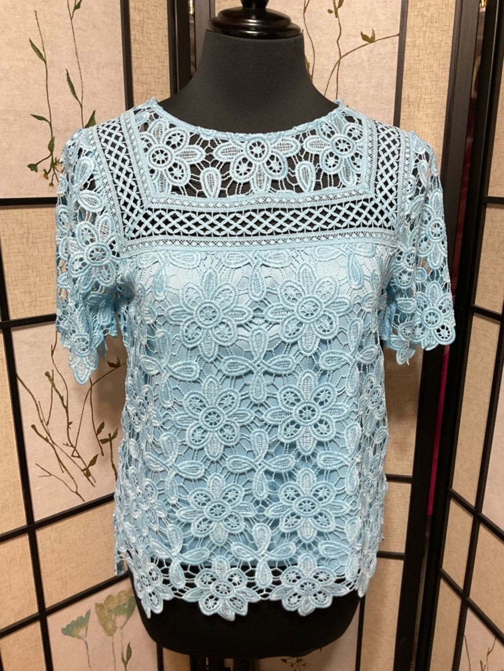 Rafaella Blue Lace Top